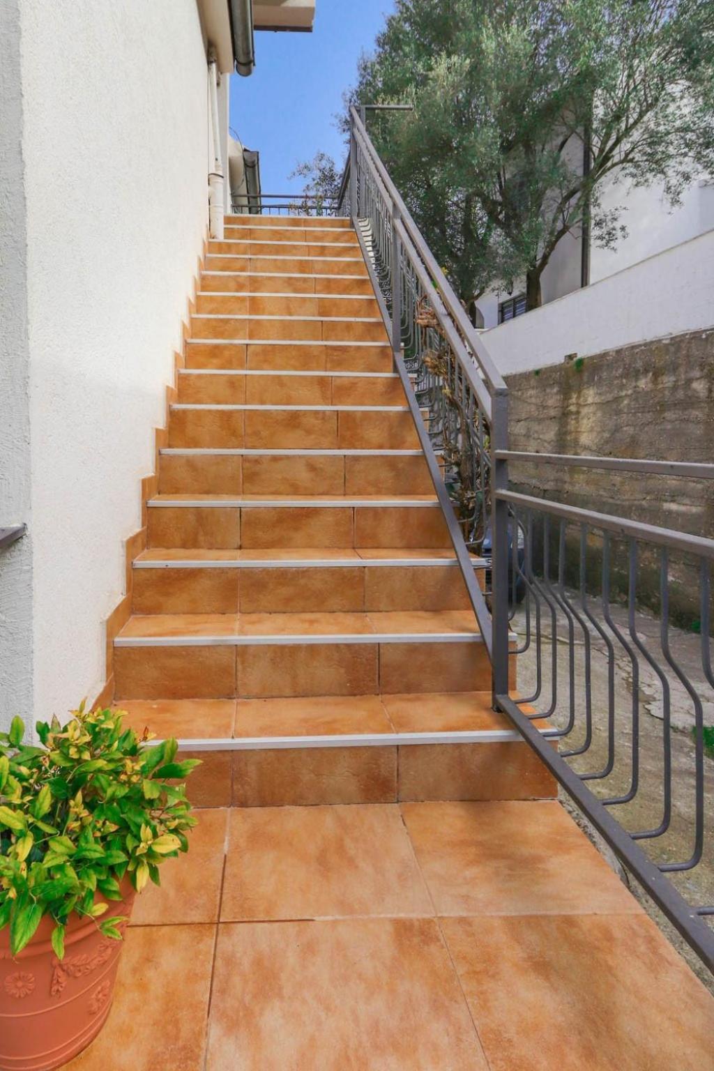 Apartment Mirjana 科托尔 客房 照片